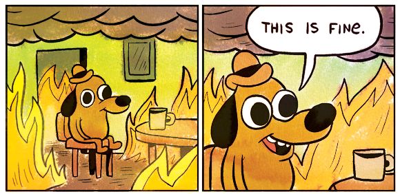 Two-panel comic showing a cartoon dog sitting calmly at a table with a cup while the room burns around it. In the first panel, the dog sits relaxed amid flames and smoke. In the second panel, the dog smiles and says, "THIS IS FINE," despite the chaos.